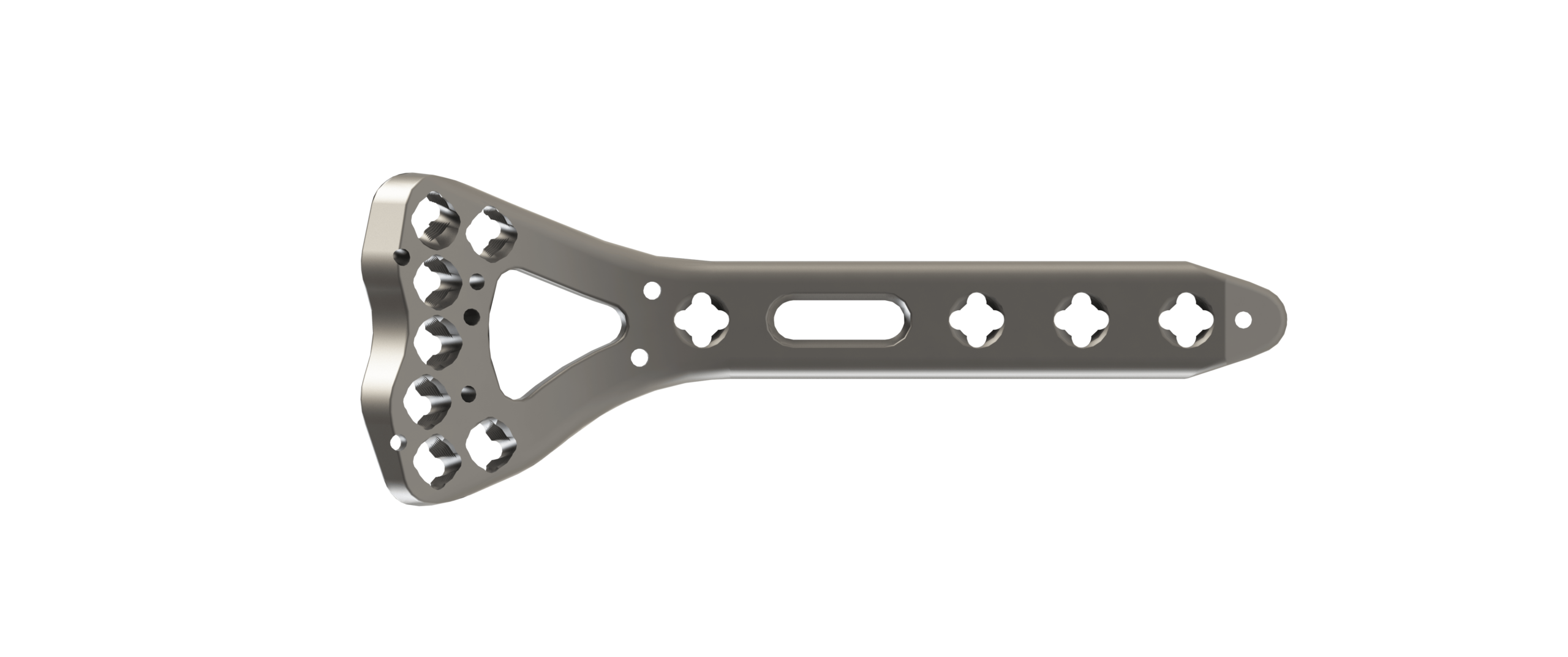 Distal Radius (Rev04)