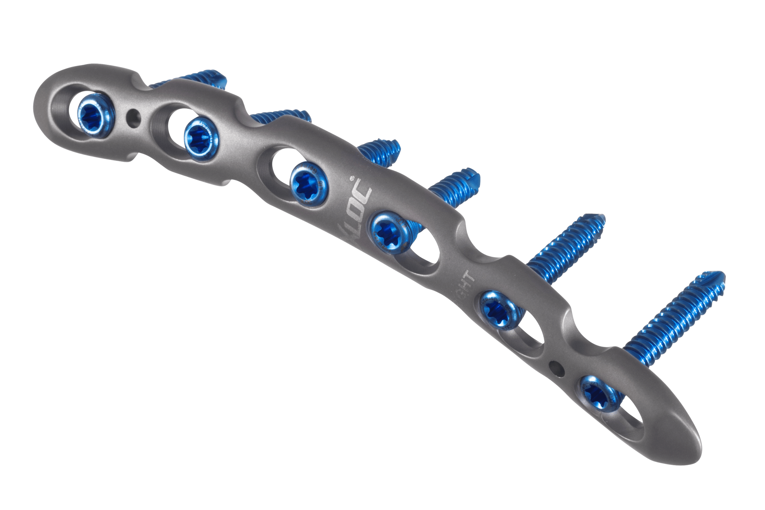 Clavicle.superior_AF-Medical_040