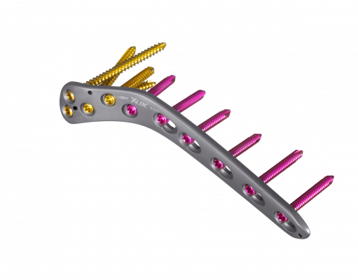 Tibia-proximal-lateral_AF-Medical_017-1